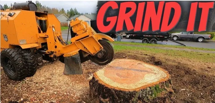 Custom yard maintenance near you in Troy, IL by Martin’s Tree Service