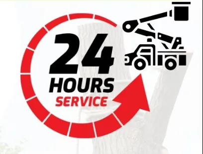 Affordable yard maintenance experts serving Troy, IL - Martin’s Tree Service