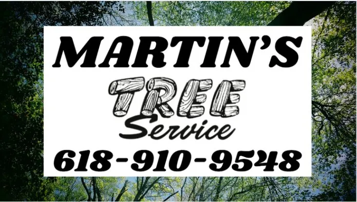 Expert yard maintenance in Troy, IL by Martin’s Tree Service