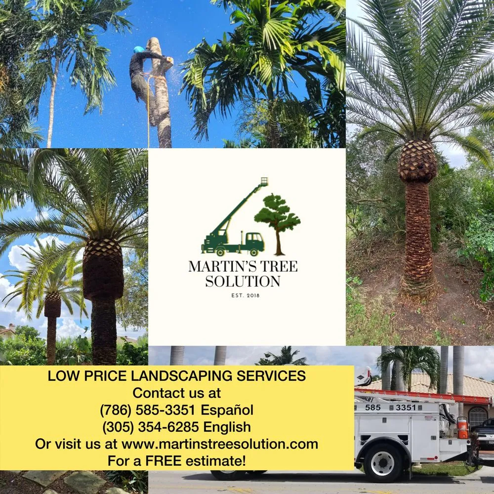 Reliable landscape design for homes in Miami Gardens, FL by Martin's Tree Solution