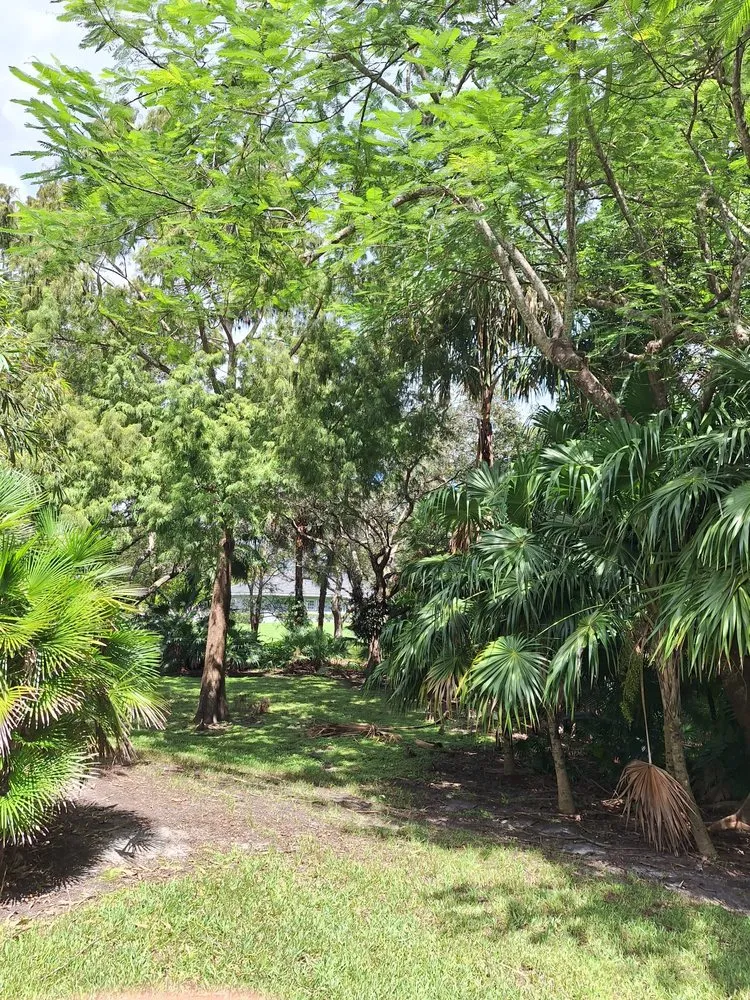 Top-rated yard maintenance experts serving Miami Gardens, FL - Martin's Tree Solution