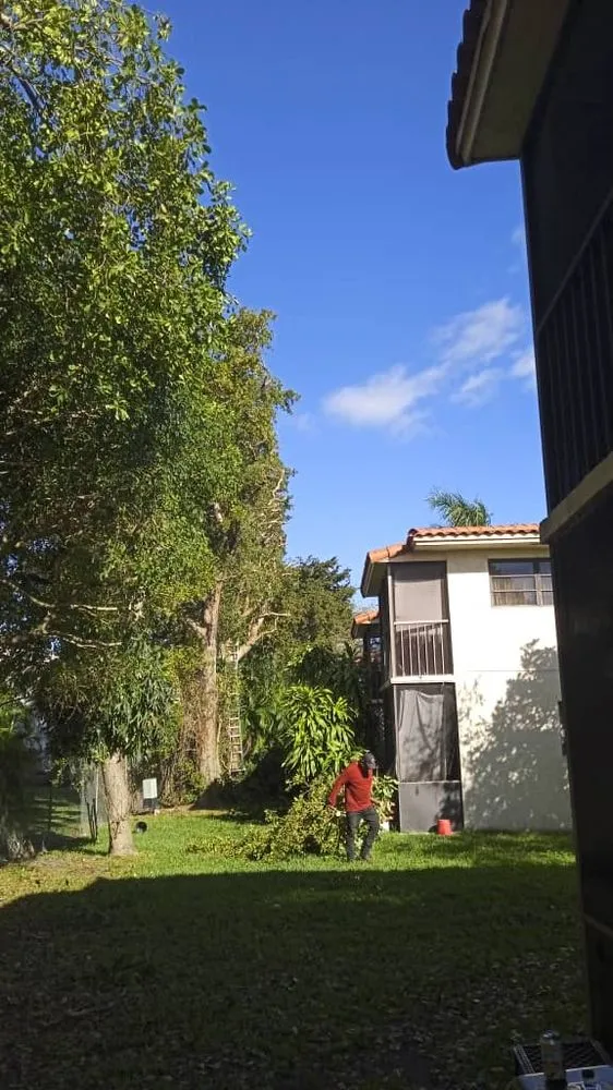 Reliable residential landscaping for beautiful yards in Miami Gardens, FL by Martin's Tree Solution