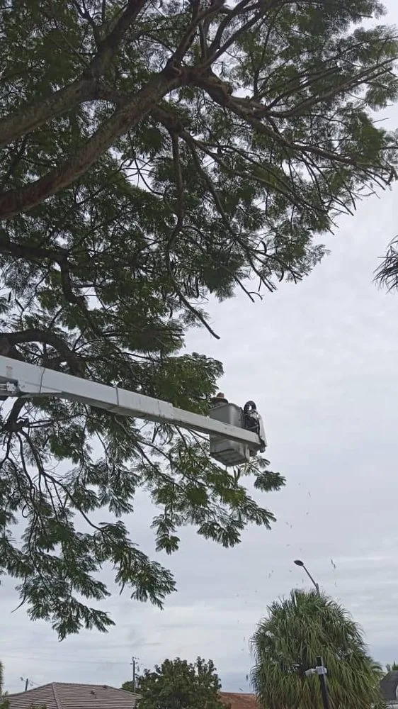 Reliable residential landscaping in Miami Gardens, FL by Martin's Tree Solution