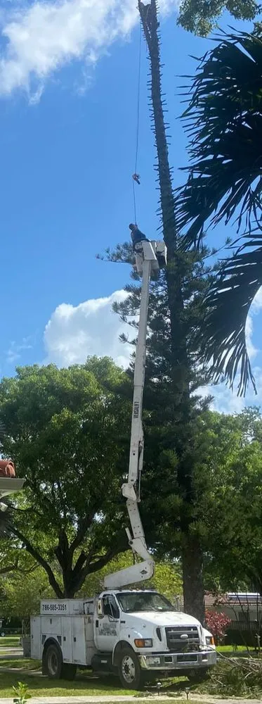 Affordable lawn mowing service in Miami Gardens, FL - Martin's Tree Solution