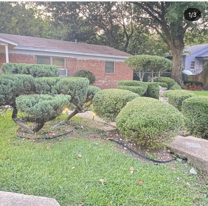 Top-rated yard maintenance in DeSoto, TX by Martinscapes Lawn Services