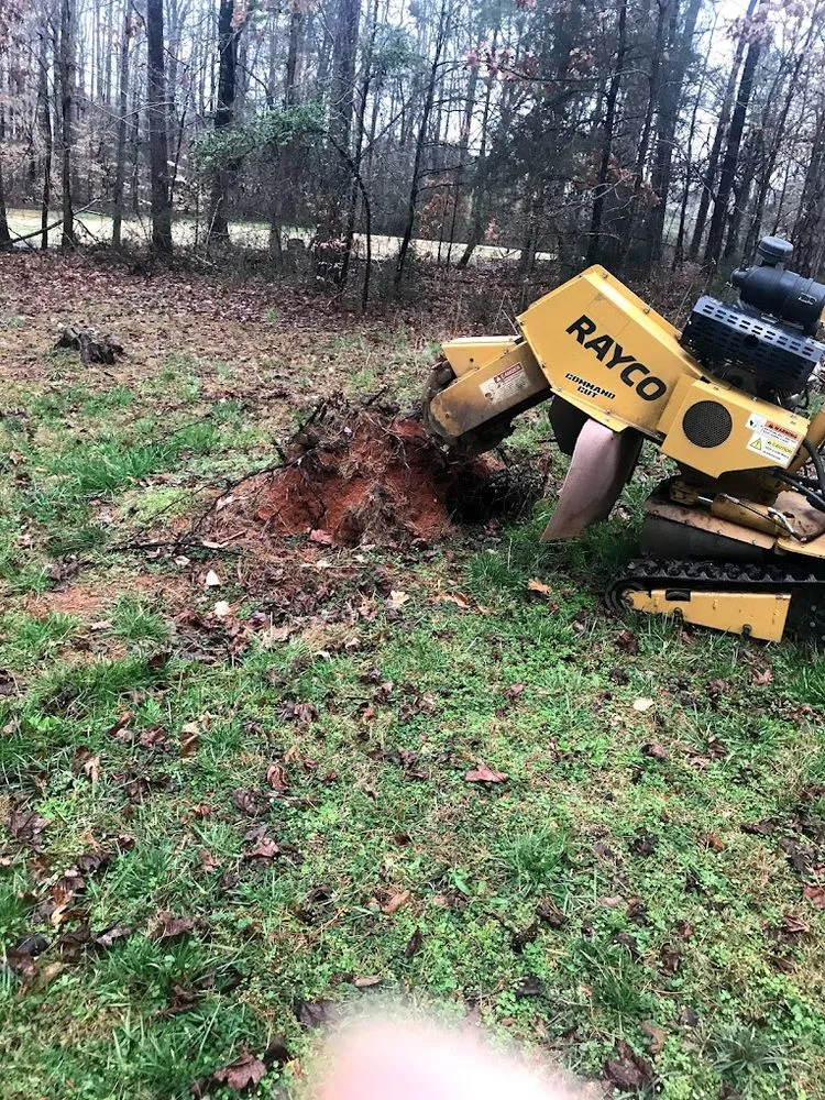 Custom lawn mowing service near you in Clemmons, NC by Martir’s Landscaping and Tree Services