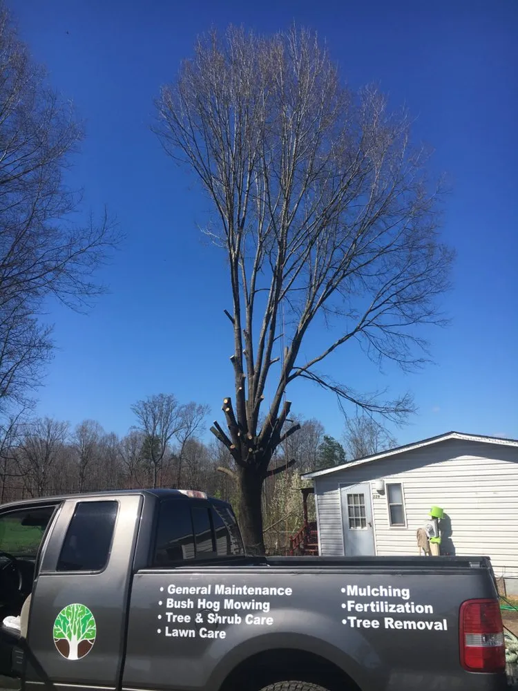 Expert landscape design for outdoor upgrades across Clemmons, NC - Martir’s Landscaping and Tree Services