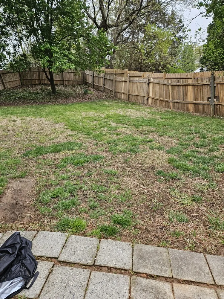 Professional yard maintenance experts serving Clemmons, NC - Martir’s Landscaping and Tree Services