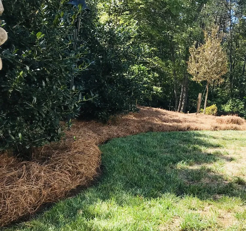 Top-rated lawn mowing service in Clemmons, NC by Martir’s Landscaping and Tree Services