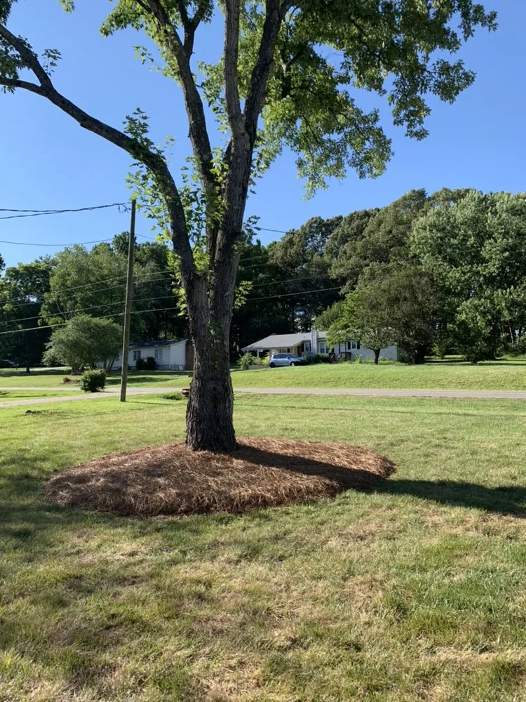 Custom lawn mowing service for homes across Clemmons, NC - Martir’s Landscaping and Tree Services