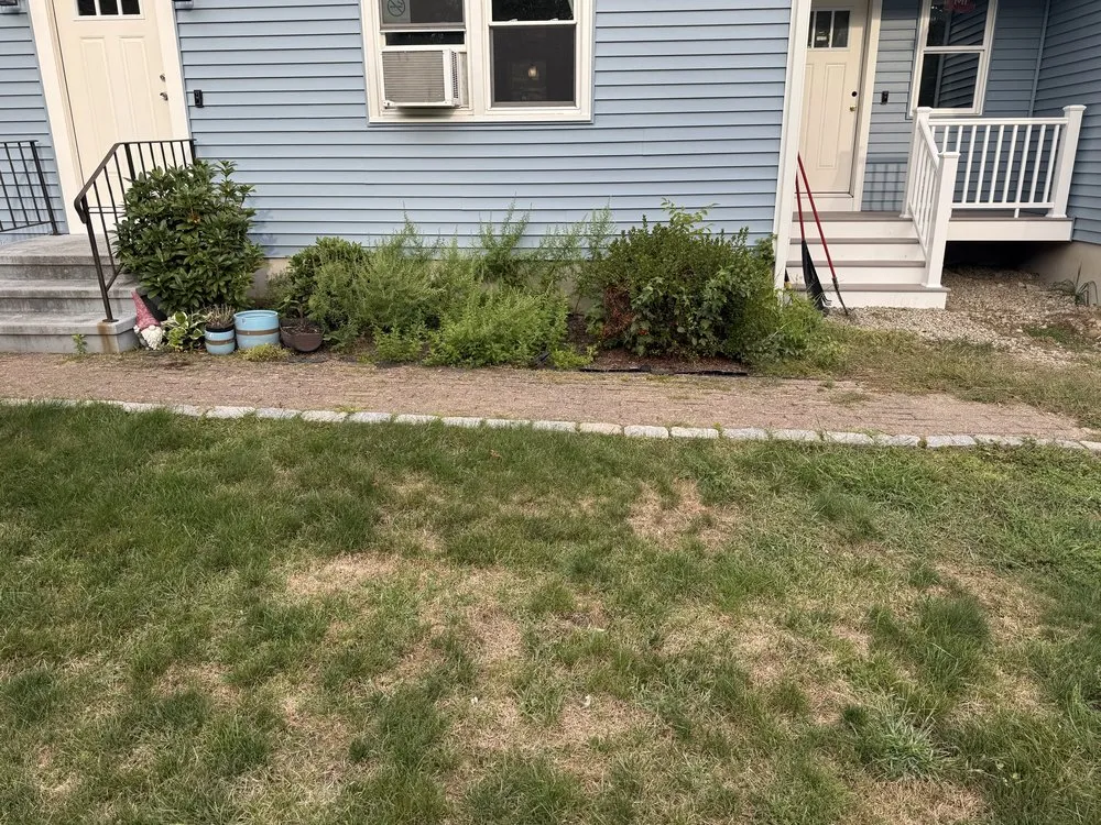 Custom yard cleanup service for year-round maintenance in South Kingstown, RI by Martis Odd Jobs
