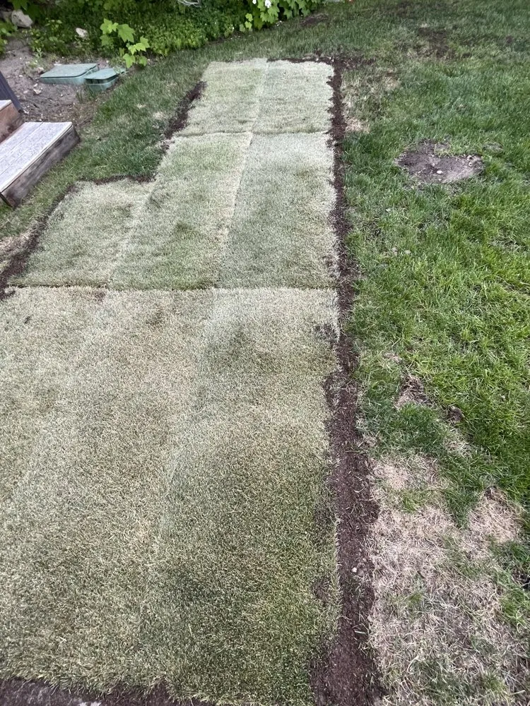 Affordable lawn mowing service experts serving Truckee, CA - Martis Valley Landscapes