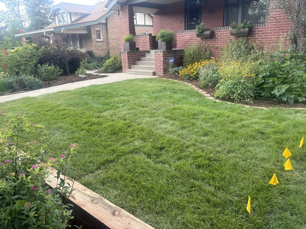 Affordable landscape design experts serving Commerce City, CO - Martínez Jr landscaping