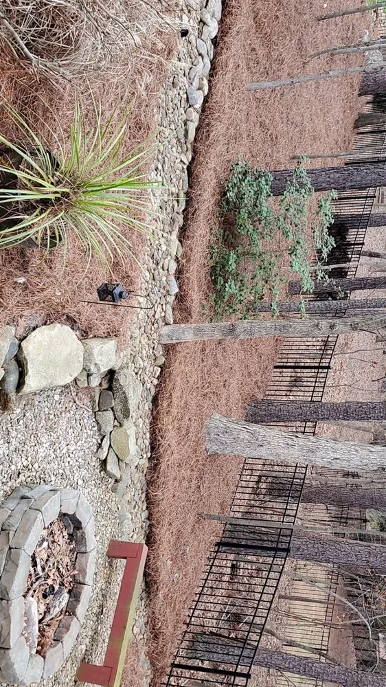 Reliable yard cleanup service in Newton, NC - Martínez Landscaping