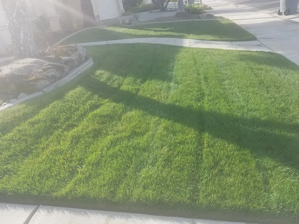 Affordable lawn care service experts serving Atwater, CA - Martínez Lawn Service