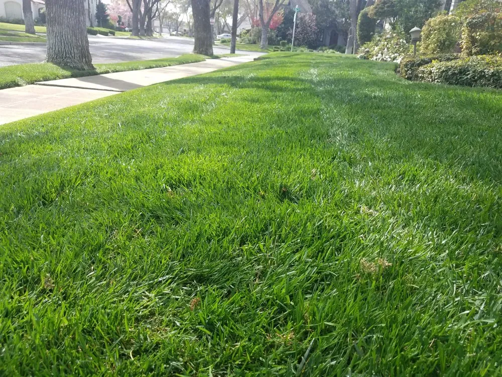 Expert landscaping services for outdoor upgrades across Atwater, CA - Martínez Lawn Service