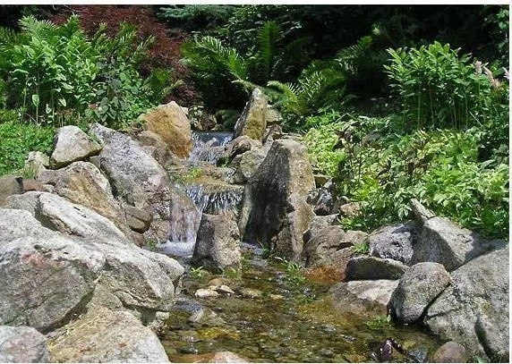 Professional lawn care service for residential properties across Watchung, NJ - Martoccia Landscape Service