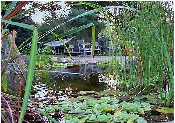 Top-rated landscape installation experts serving Watchung, NJ - Martoccia Landscape Service