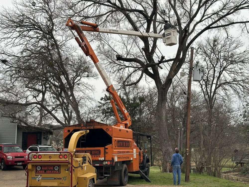 Top-rated lawn care service in Belton, TX by Martone Tree Service