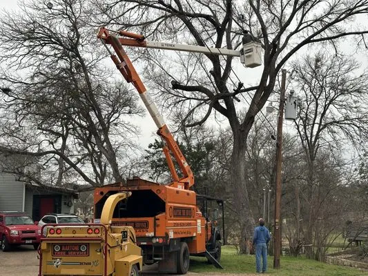 Martone Tree Service Logo