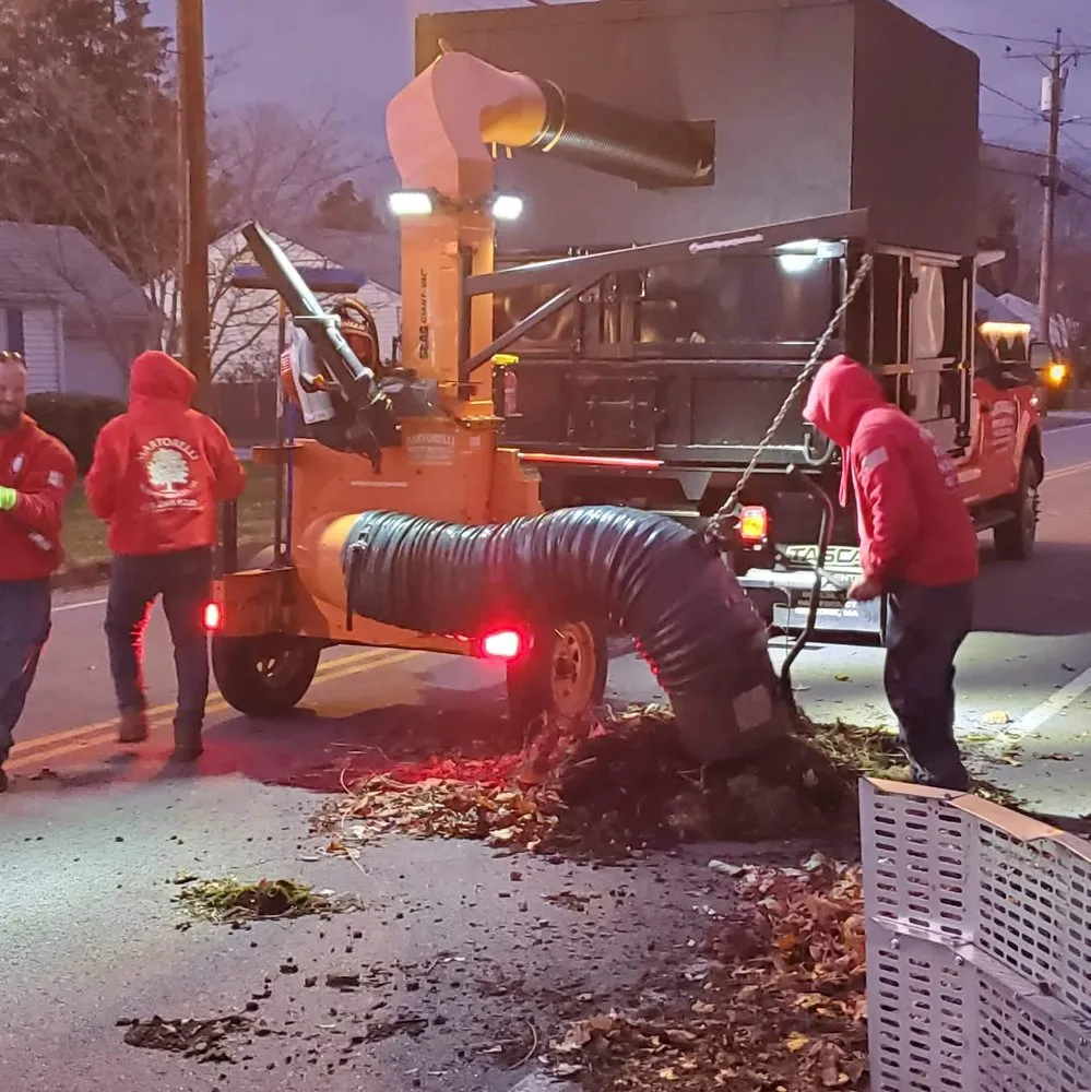 Custom yard maintenance in Warwick, RI by Martorelli Property Services LLC.