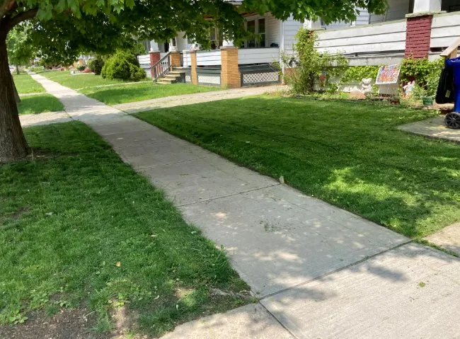 Top-rated yard cleanup service in Cleveland, OH - Marty's 3D Landscaping