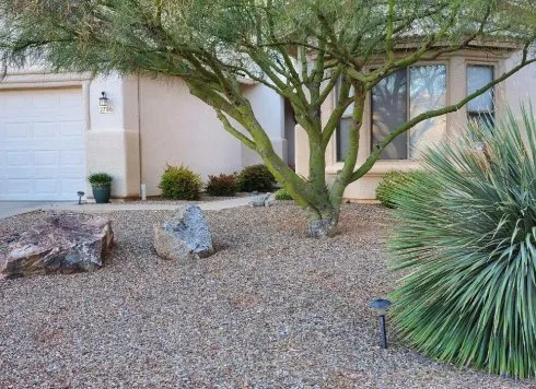 Affordable lawn care service experts serving Tucson, AZ - Marty's Landscape and Design