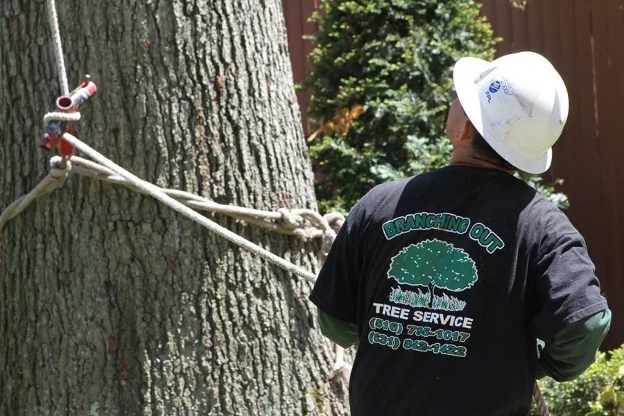 Professional landscape installation in Rockville Centre, NY - Marty's Landscaping & Tree Service & Removal