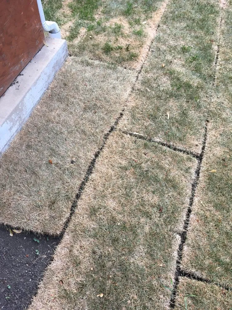 Expert landscape installation in Des Plaines, IL - Martys Landscaping