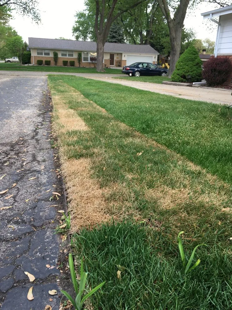 Reliable lawn mowing service in Des Plaines, IL - Martys Landscaping