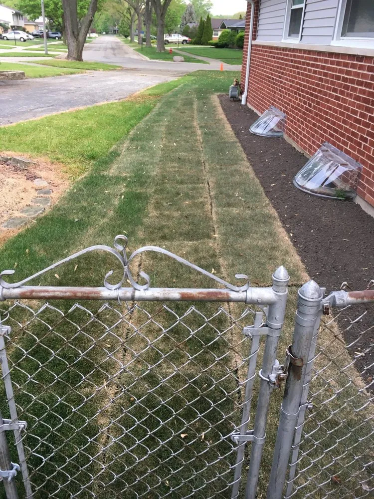 Professional yard cleanup service experts serving Des Plaines, IL - Martys Landscaping