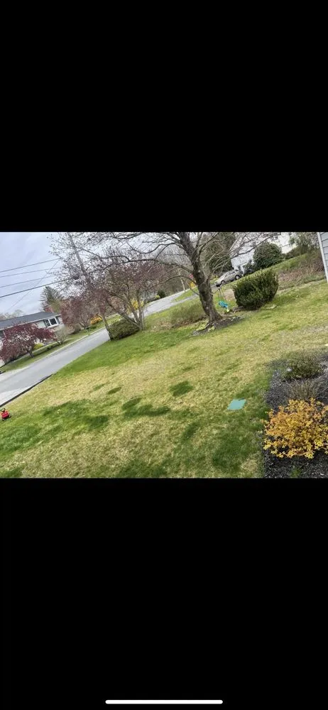 Expert lawn mowing service experts serving Lowell, MA - Marty's Landscaping