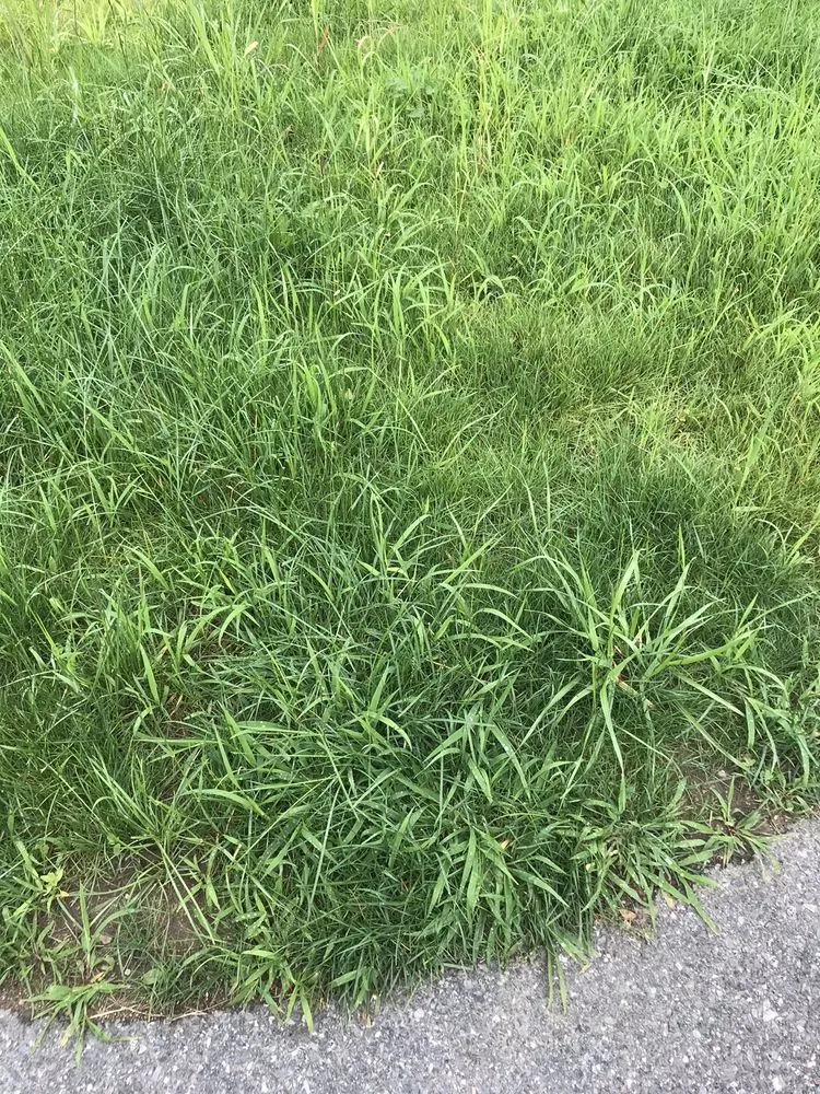 Reliable residential landscaping in Lowell, MA - Marty's Landscaping