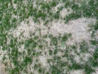 Trusted yard cleanup service in Lowell, MA - Marty's Landscaping