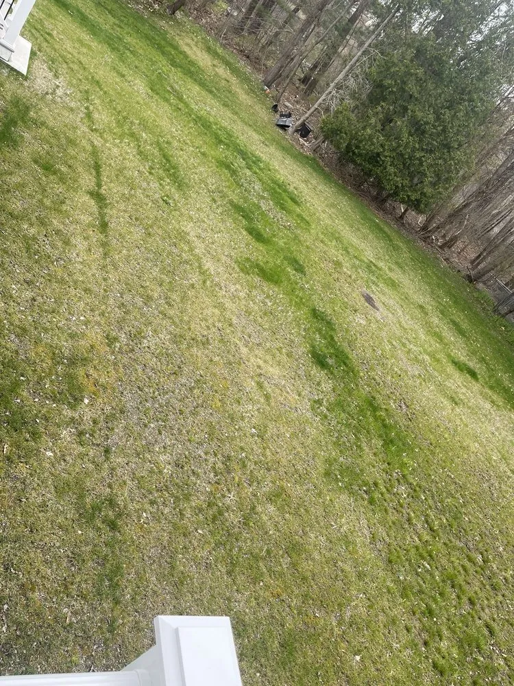 Reliable landscaping services experts serving Lowell, MA - Marty's Landscaping