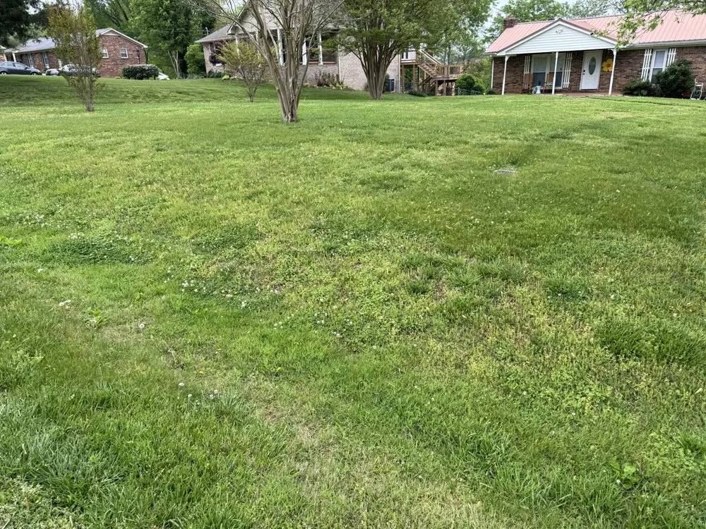 Custom lawn mowing service experts serving Columbia, TN - Marty’s Lawncare