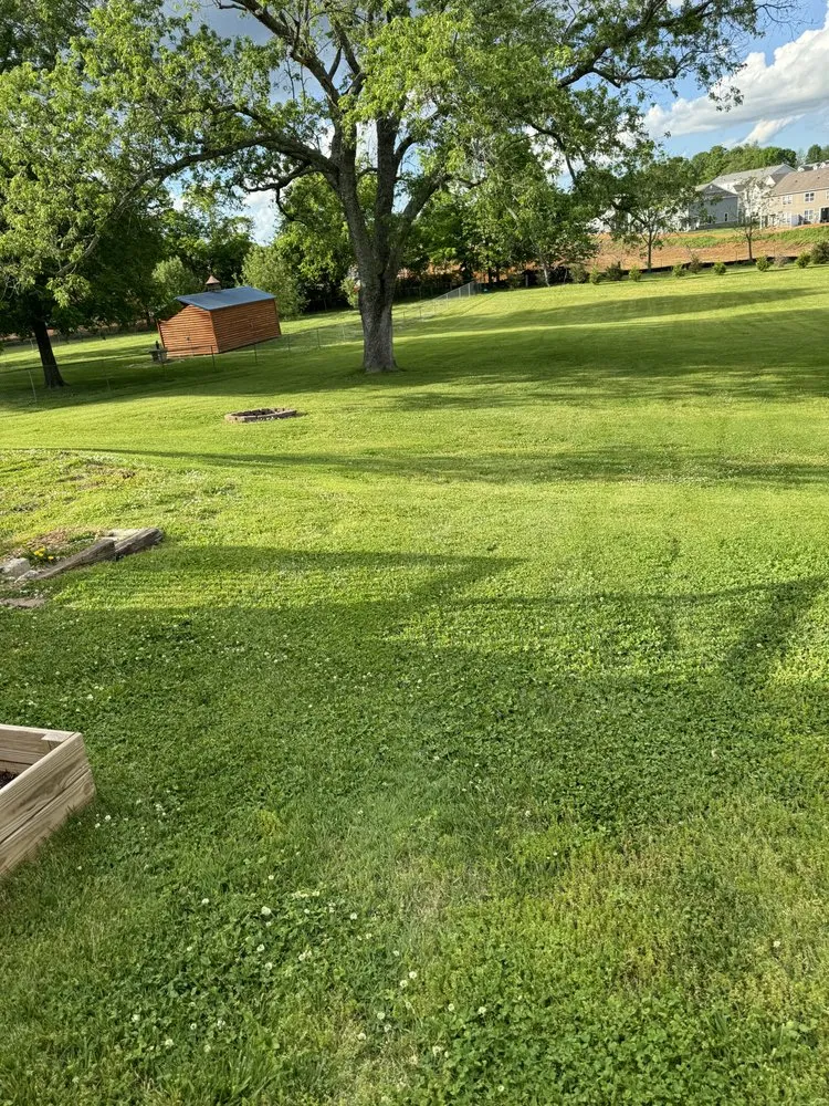 Expert outdoor landscaping in Columbia, TN by Marty’s Lawncare