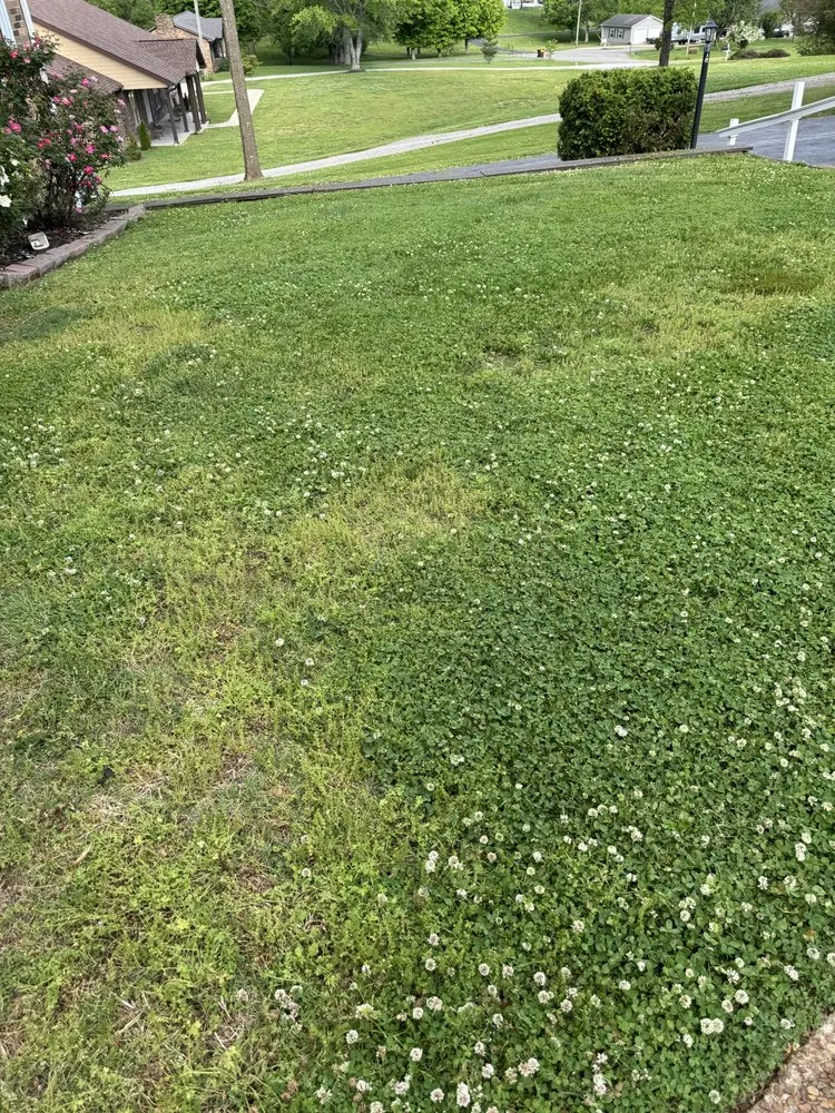 Trusted residential landscaping for residential properties across Columbia, TN - Marty’s Lawncare