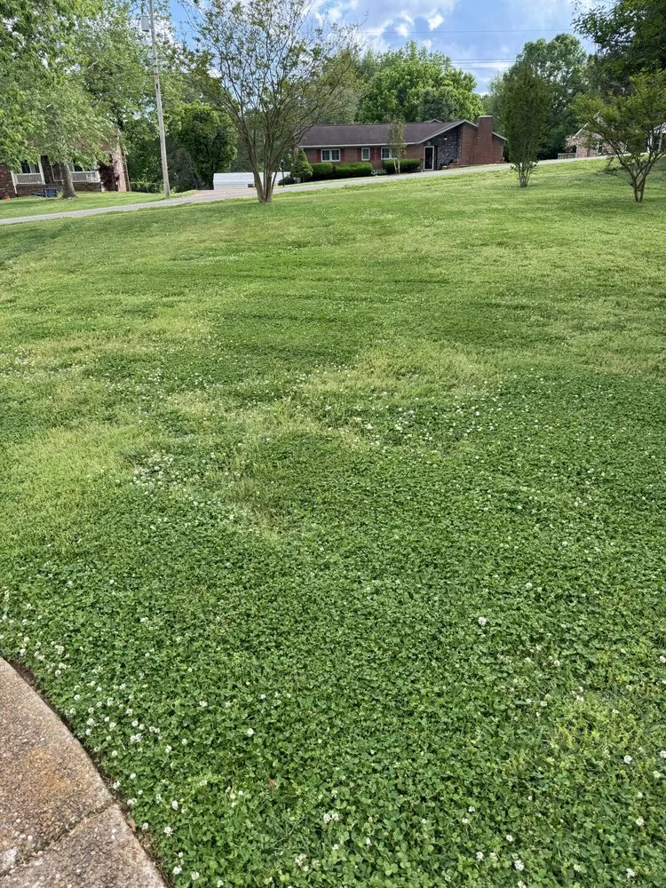 Affordable lawn mowing service experts serving Columbia, TN - Marty’s Lawncare