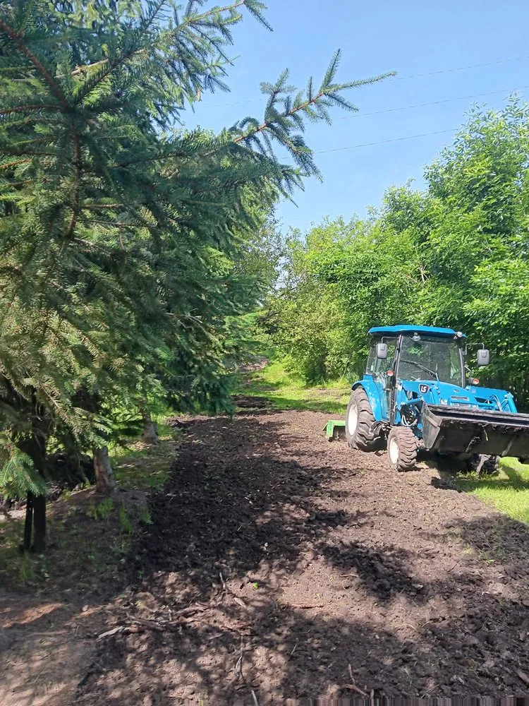 Trusted yard maintenance experts serving Marion, IA - Marty’s Yard Maintenance