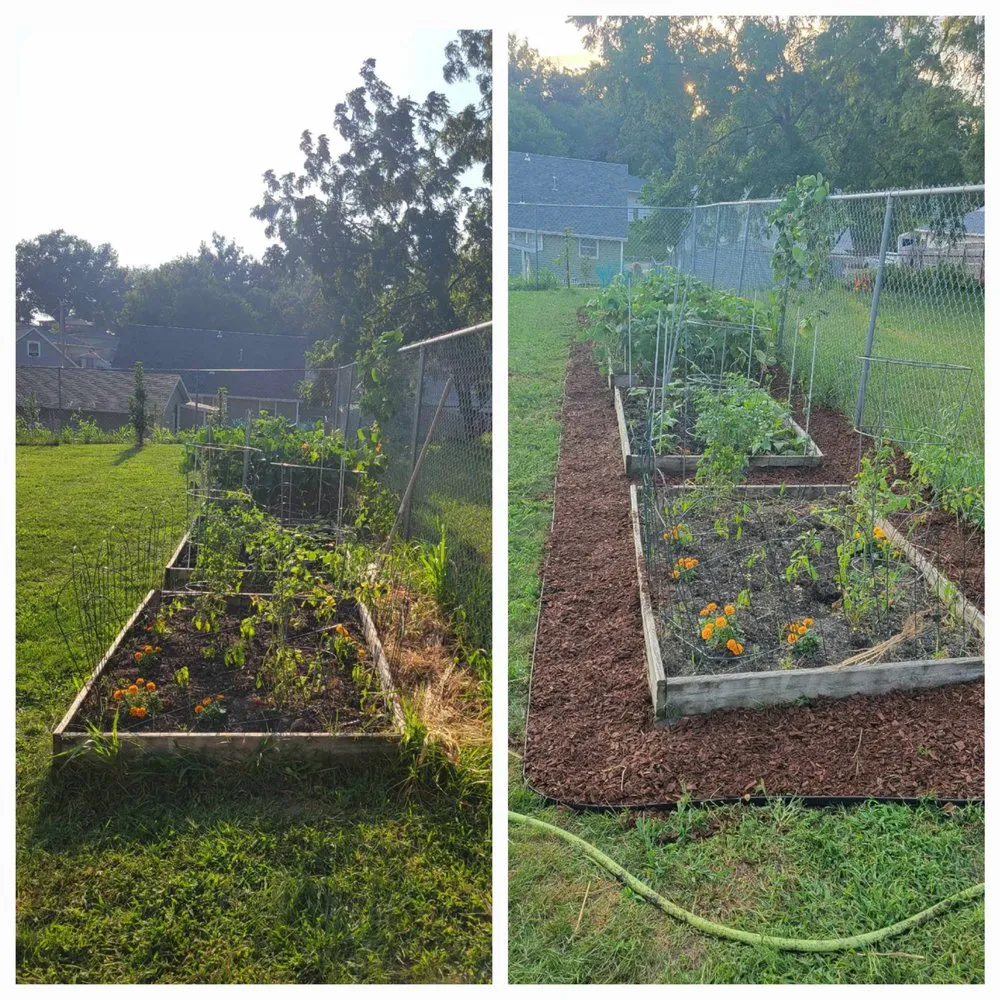 Professional residential landscaping near you across Marion, IA - Marty’s Yard Maintenance