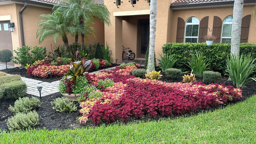 Affordable yard cleanup service with custom design in Davenport, FL by Martz Land Services