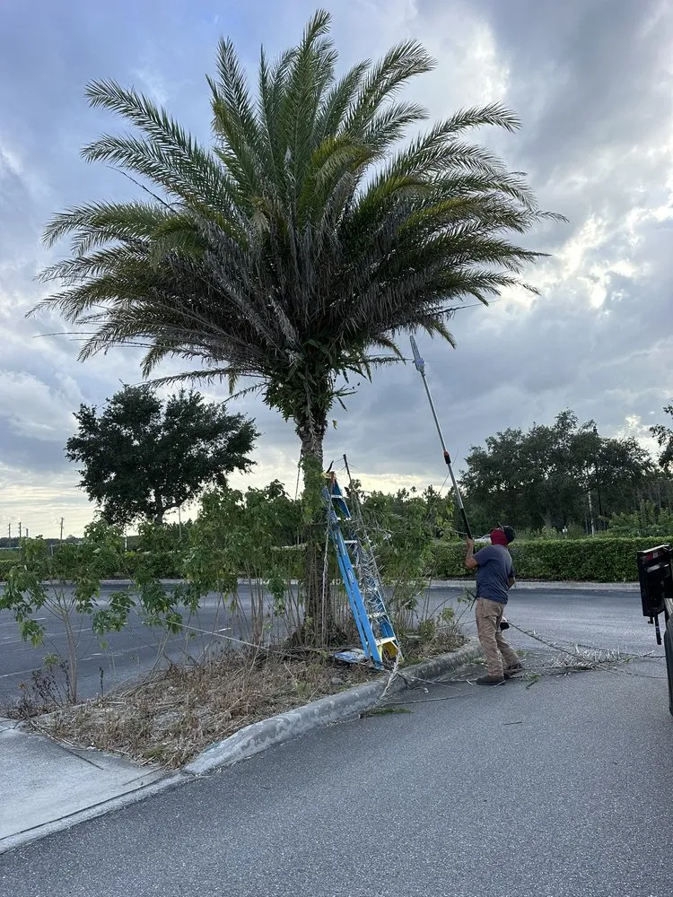 Trusted landscaping services in Davenport, FL by Martz Land Services