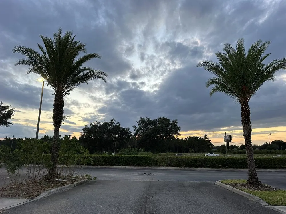 Trusted garden landscaping experts serving Davenport, FL - Martz Land Services