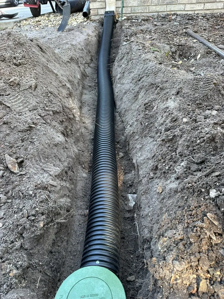 Professional lawn care service in Davenport, FL by Martz Land Services