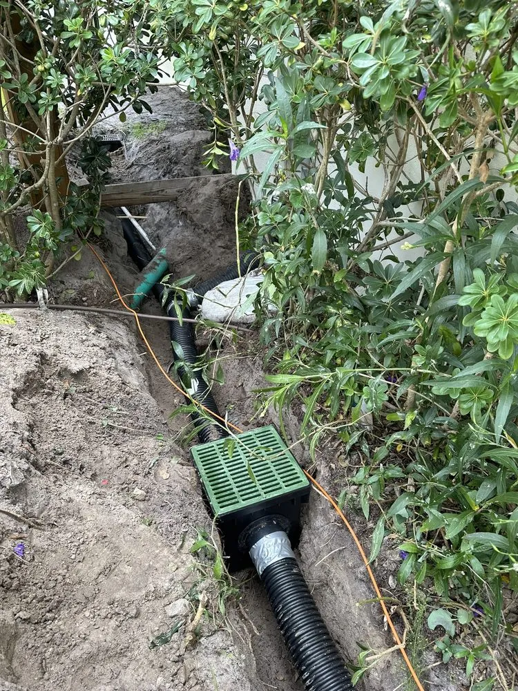 Top-rated landscape installation in Davenport, FL - Martz Land Services