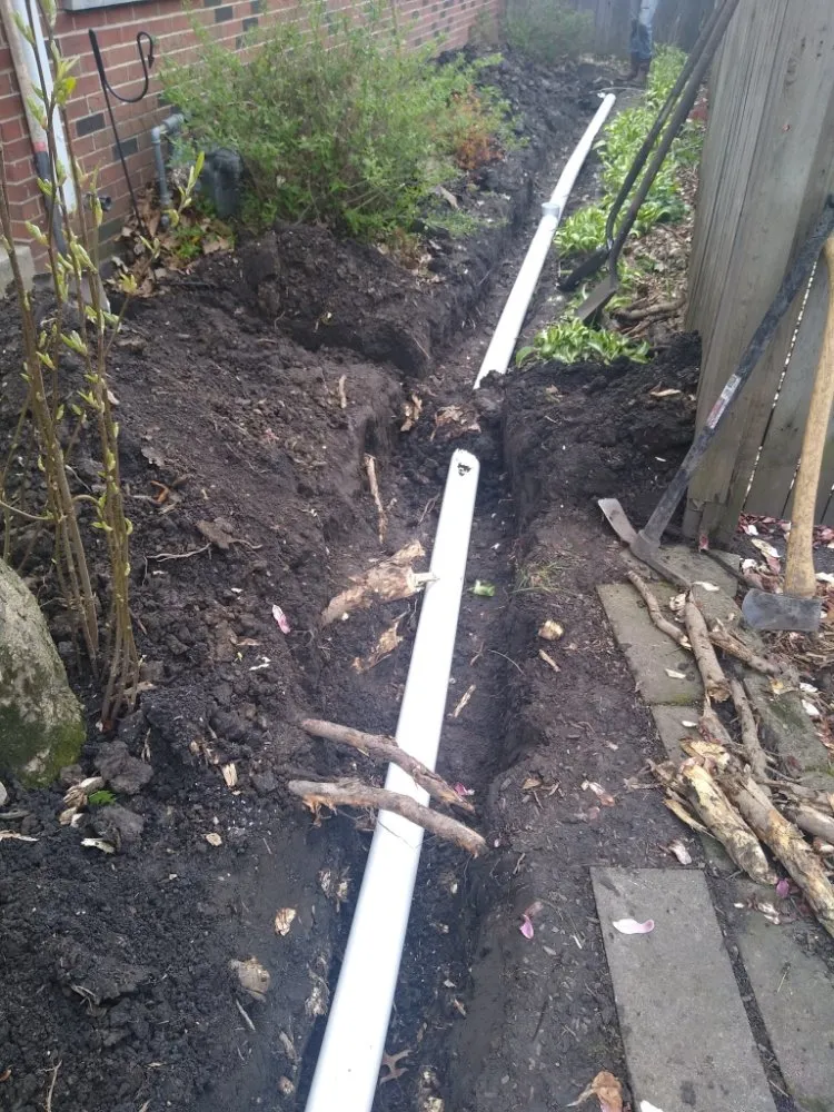 Professional yard cleanup service for year-round maintenance in Oak Lawn, IL by Marval Landscaping