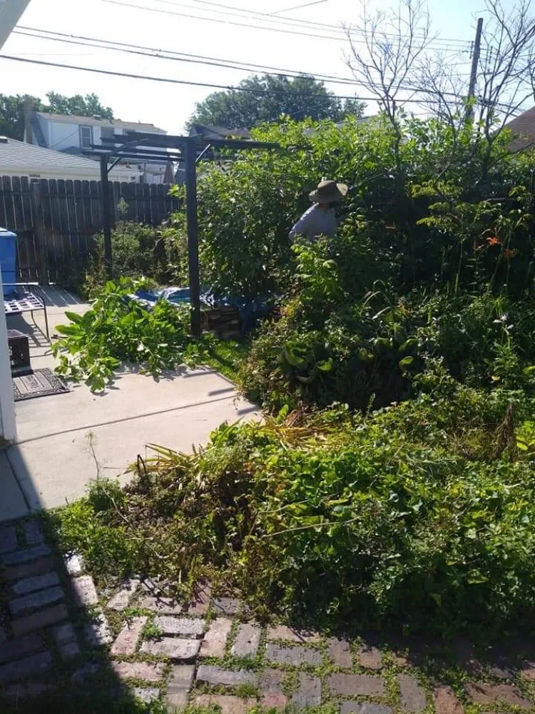 Affordable residential landscaping in Oak Lawn, IL by Marval Landscaping