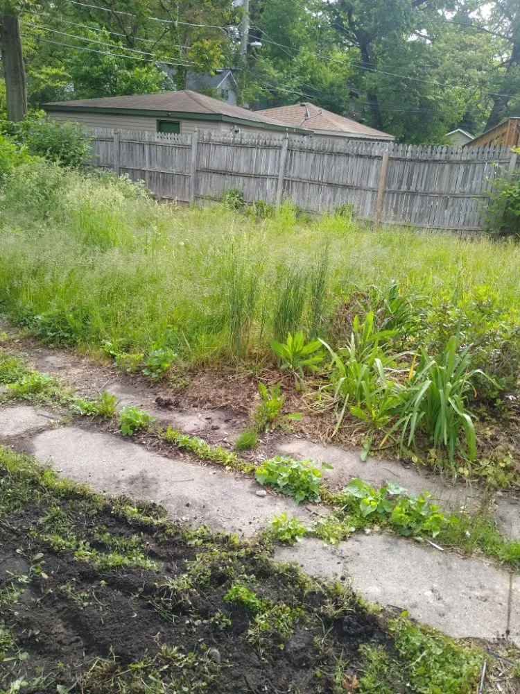 Affordable outdoor landscaping in Oak Lawn, IL - Marval Landscaping