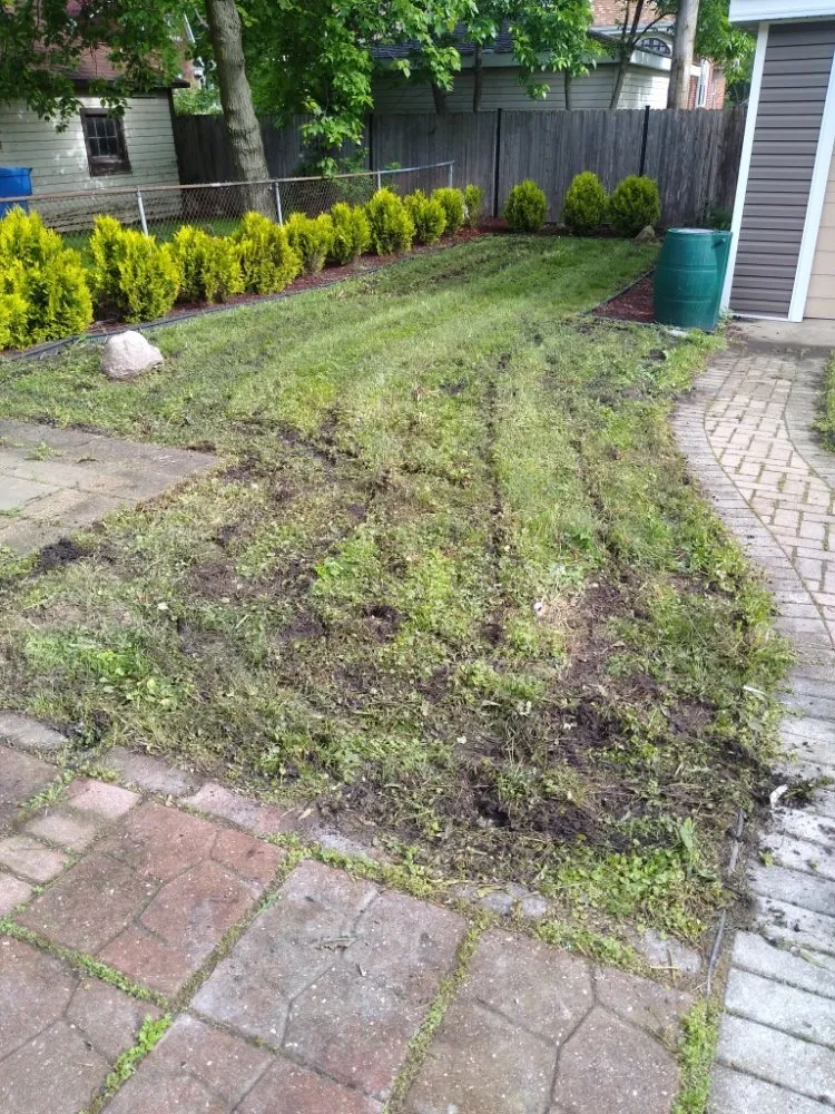 Top-rated yard maintenance experts serving Oak Lawn, IL - Marval Landscaping